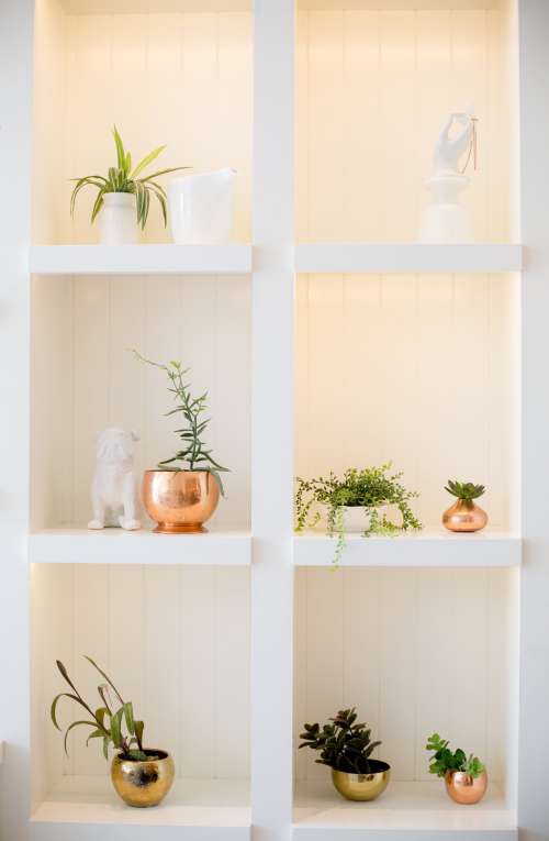 White Bookshelf Filled with Plants And Statues Photo