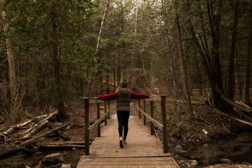 Walking Across A Wooden Bridge In The Forest Photo
