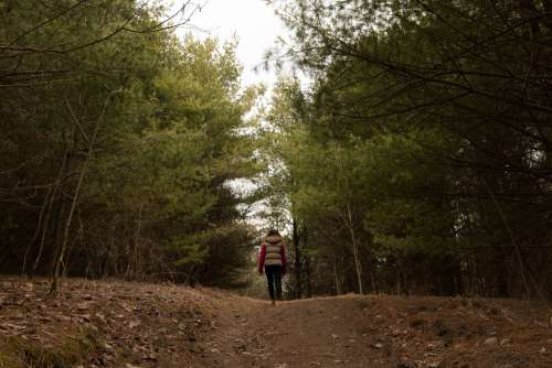 Woman Finds A Clearing In The Forest Photo