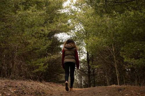 Woman Hikes Through Forest Clearing Photo