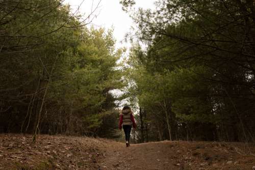 Woman Walking Through Forest Clearing Photo