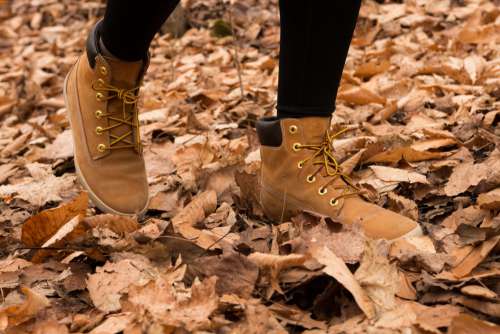 Hiker Steping On Leaves As They Walk Through Photo