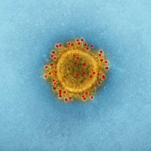 Magnified Coronavirus Virion