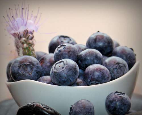 Bowl of Fresh Blueberries