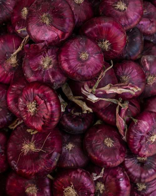 Close up of a pile of red onions