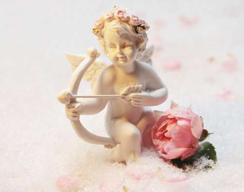 Cupid and Rose