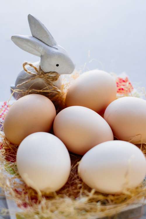 Ceramic Easter Bunny and plain eggs
