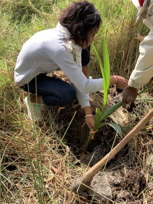 work, people, men, women, plant, garden, environment, flora, vegetal, botanical