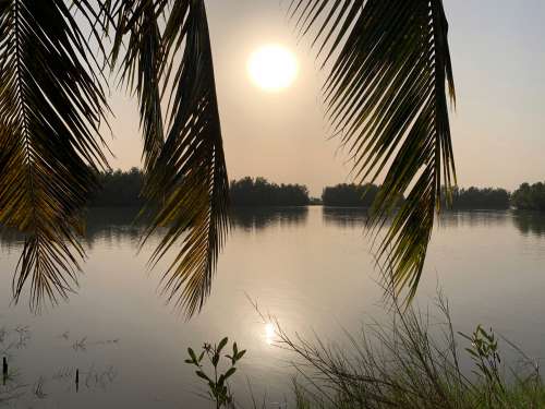 lake, palm tree, sunset, landscape, nature