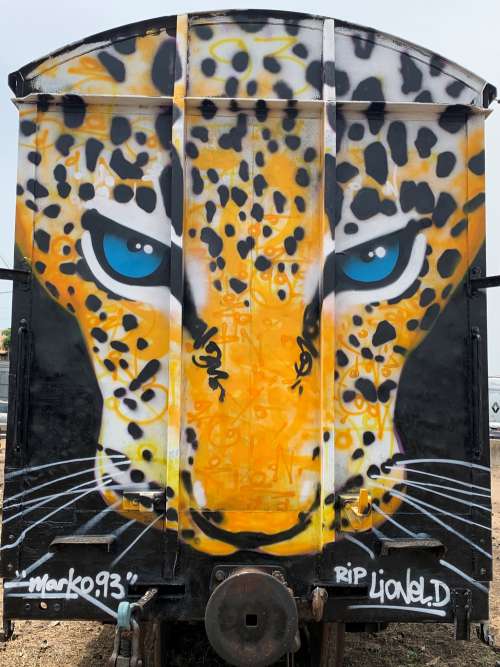 painted cheetah face, graffiti, street art, color, wall painting, urban art, city, illustration, graphic, craft, effet graff, visual art, train, subway