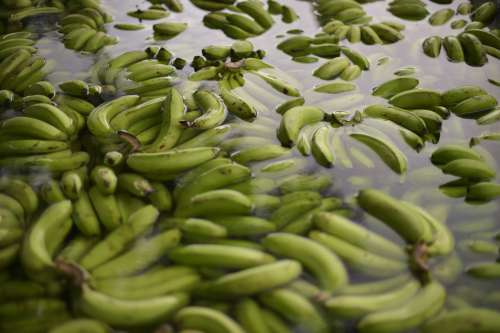 bunch of bananas, fresh fruits, food, water, cleaning