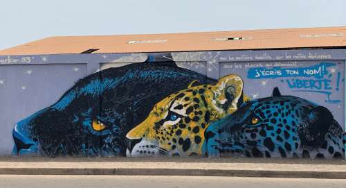 graffiti, street art, color, wall painting, urban art, city, illustration, graphic, craft, effet graff, visual art, leopard portraits, beautiful