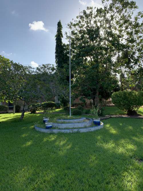 tree, green space, lawn, mast, courtyard, landscape