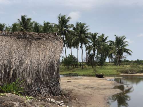 hut, salt industry, hamlet, palm trees, grass, water, riverbank, ecotourism, landscape, countryside, village