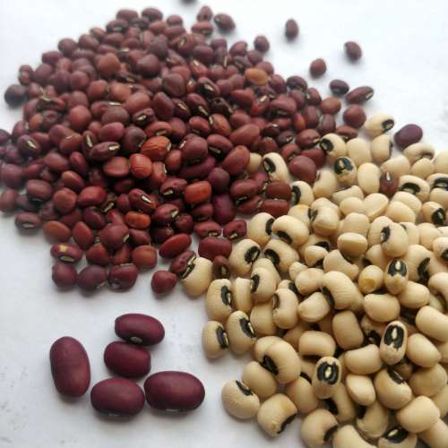 beans, food, nutrition, seed, cereal, diet, red beans, white beans, dolique, kissi, abobo, fechouada, bio, uncooked