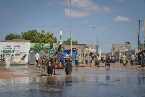 people, city, flood, natural disaster, travel, vehicle, street, road, transportation system, pedestrians