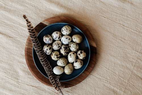 Quail eggs on wooden plate