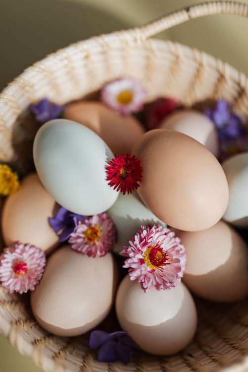 Eggs basket