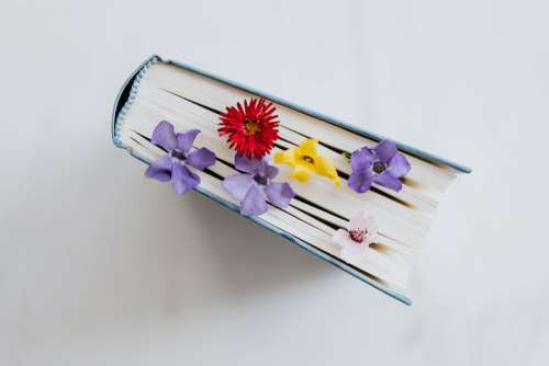 Book & spring flowers
