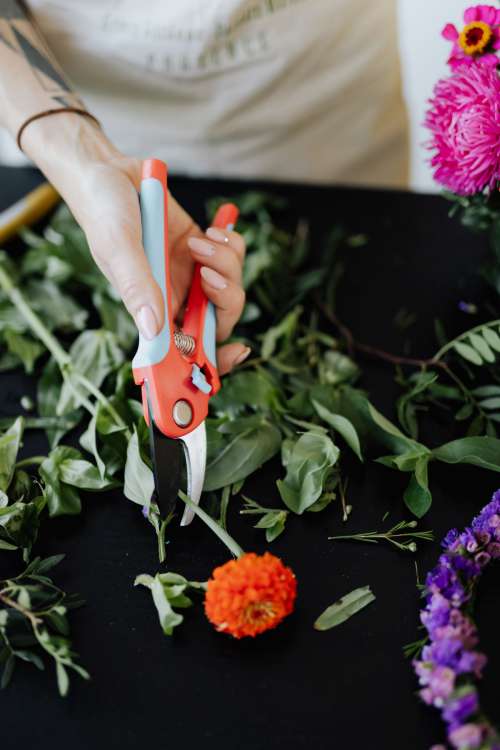 A beautiful woman florist makes a bouquet