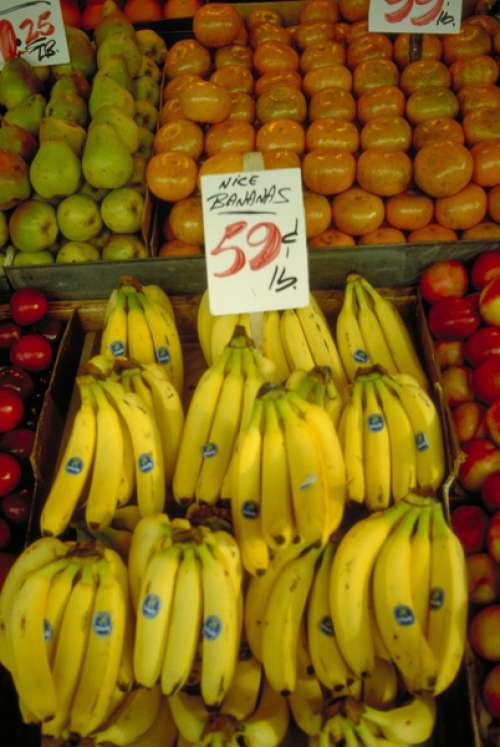 Fresh fruit at the market