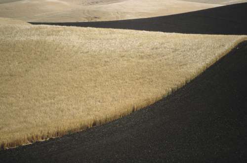 Contour ploughed farm field, Washington State, USA, (High angle view)
