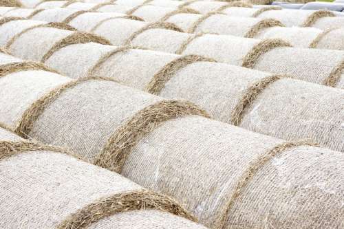 bails of hay stored in long lines