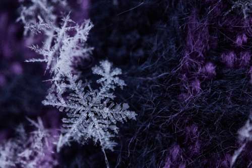 snow flake macro winter holiday