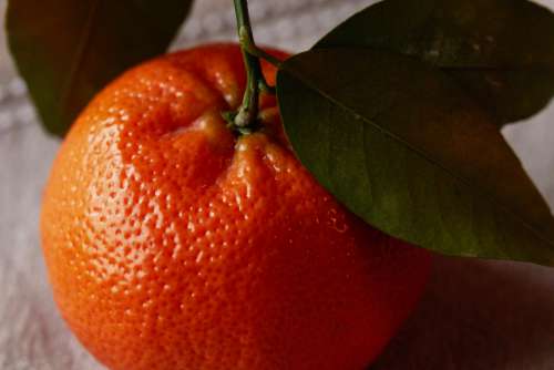 fresh orange food mandarin fruit