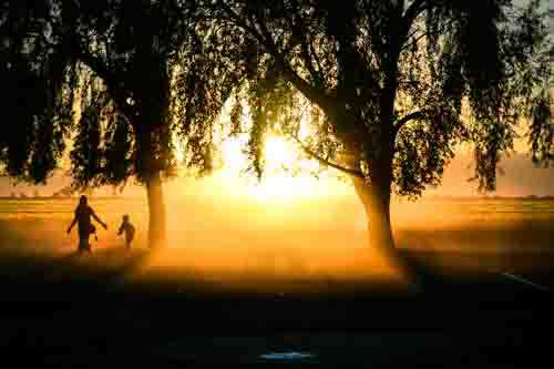Woman and Child Walking Through Mist At Sunset Between Trees