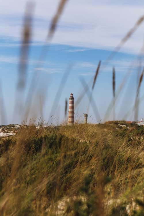Lonely Lighthouse Photo