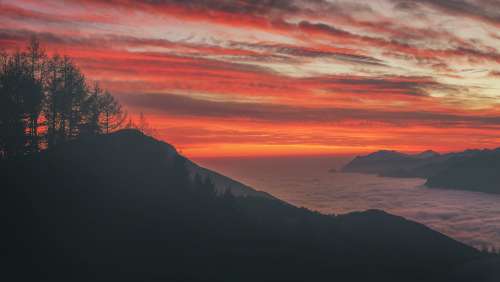 Hilltop Trees Silhouetted At Sunset Photo