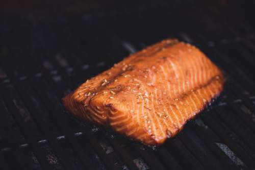 Piece of Grilled Salmon Photo