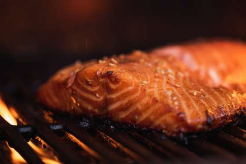 Piece Of Salmon On The Grill Photo