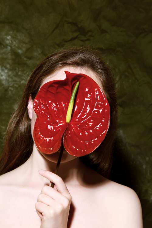 Woman Covering Her Face With Anthurium Blossom Photo