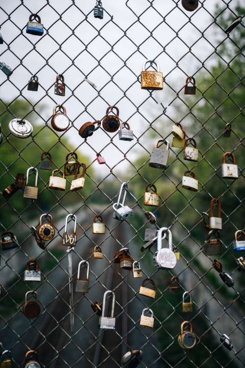 Love Locks On The Fence Photo
