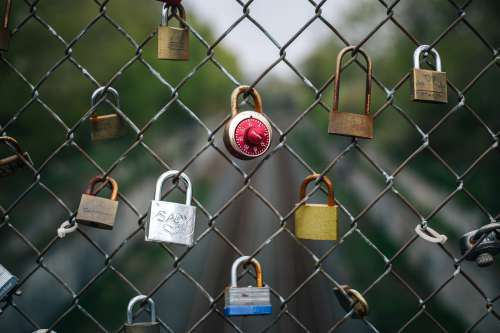 Locks On The Metal Fence Photo