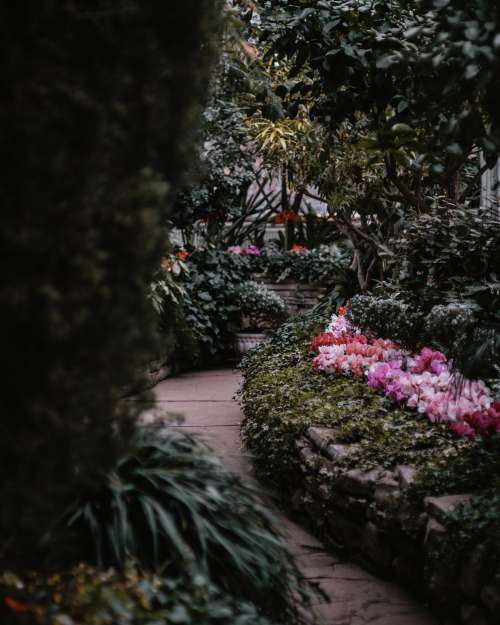 Lush Garden Pathway Photo