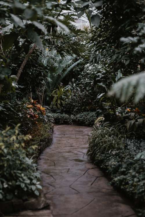 Stroll Through A Arboretum Photo