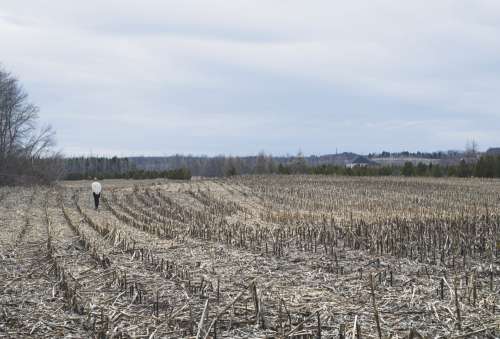 A Woman Walks Alone In A Barren Field Photo