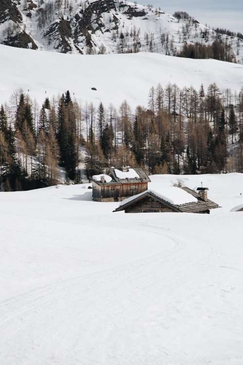 Two Wooden Cabins In Snow Photo