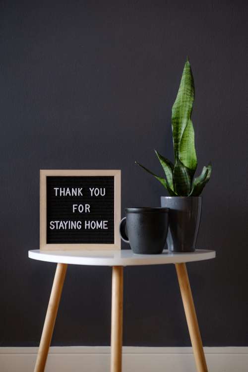 Thank You For Staying Home Photo