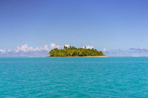 An Island Filled With Palm Trees Photo