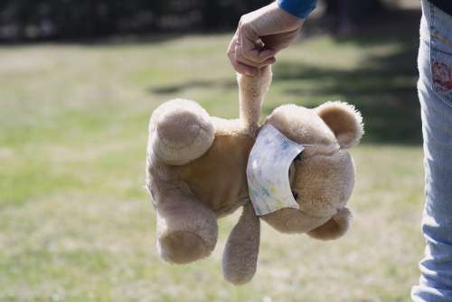 Teddy Bear With A Face Mask Photo