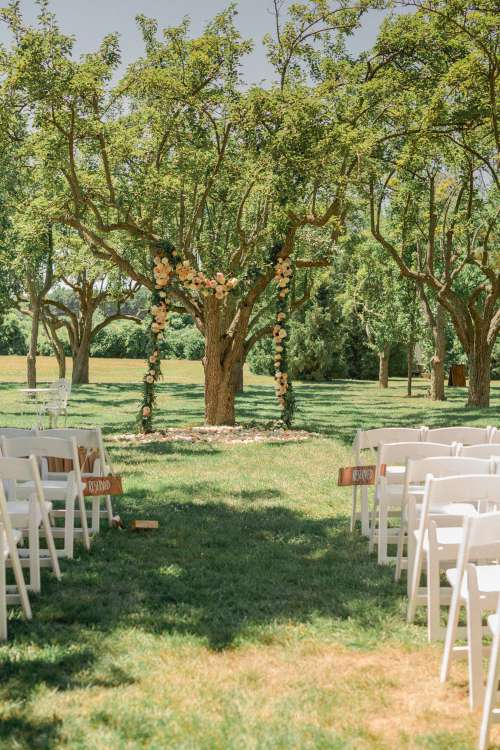 Flowered Wedding Arch Under Tree Photo