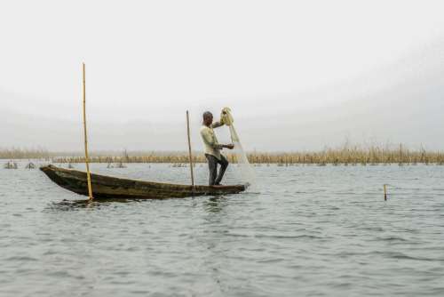 water, lake, river, canoe, fisherman, oar, watercraft, boat, people, landscape, fishnet, work