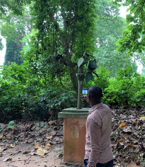 people, man, forest, smartphone, vodoun, vodun, voodoo, trees, leaf, botanical, garden, forest, sacred place, visitor, tourist, monument