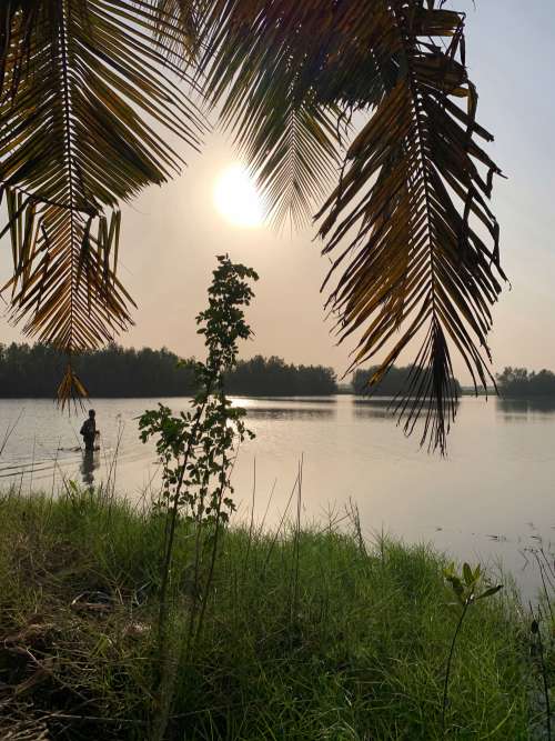 landscape, river, lake, beautiful sunset, sunshine, palm tree, environment, nature