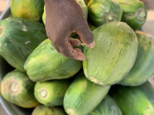 fruits, papaya, pawpaw