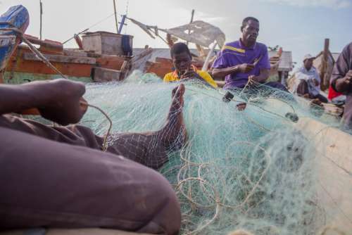 fishing nets, feet, weaving, weavers, people, work, men, children, acadja